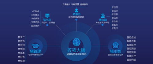 數(shù)據(jù)驅(qū)動未來 市場調(diào)查在產(chǎn)業(yè)發(fā)展與企業(yè)根基構(gòu)建中的核心價值